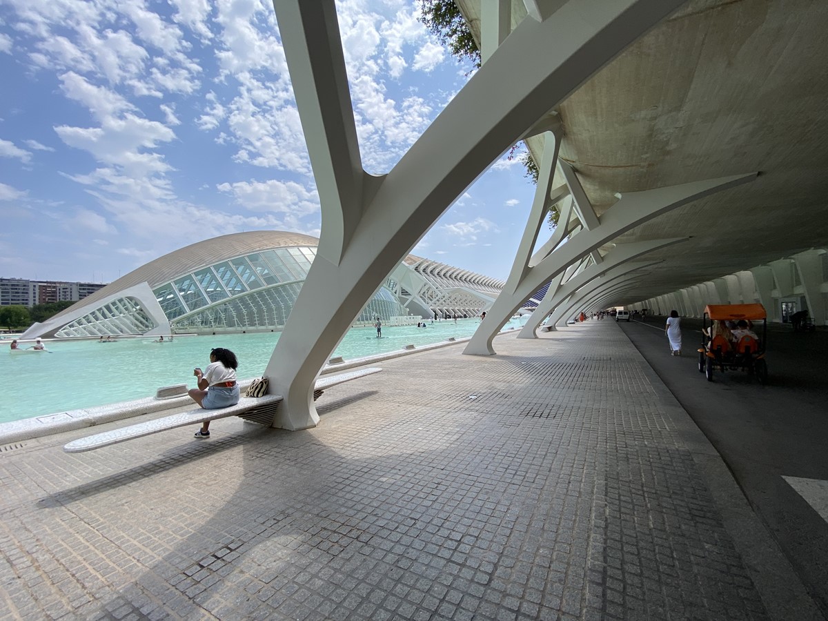 納涼・サンティアゴ・カラトラバ特集①：ついに見た、AI画像のような